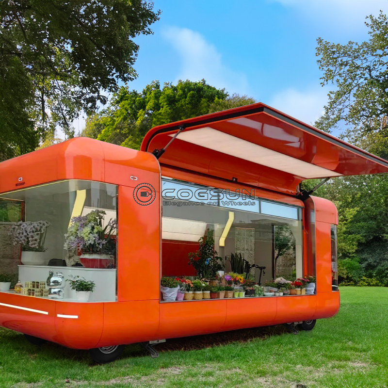 Street Mobile Food Trailer Piz - Hot Dog Vending Cart reseña y precio